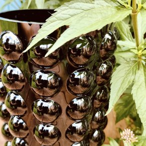 Sort glasvase i l�kkert bobledesign