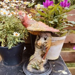 Smuk og naturtro papeg�je i keramik