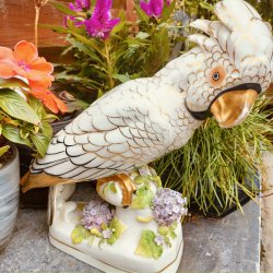 Elegant kakadue i porcel�n